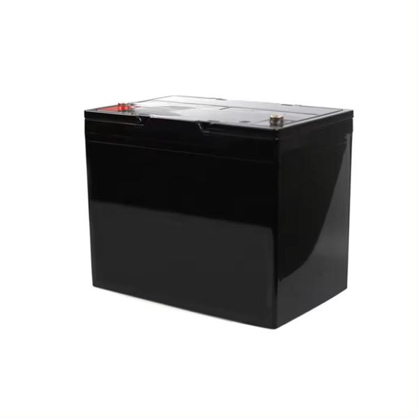 Ультралегкий 24В 100AH литийная батарея 6000 циклов Долговечность для велосипеда / автомобиля