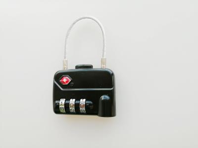 TSA 320 Luggage Cable Lock / Zinc Alloy Backpack Cable Lock Free Sample Available
