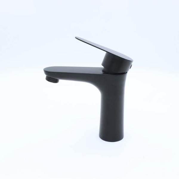 Multiple Colors SUS 304 Stainless Steel Basin Faucet with 2 Water Inlets