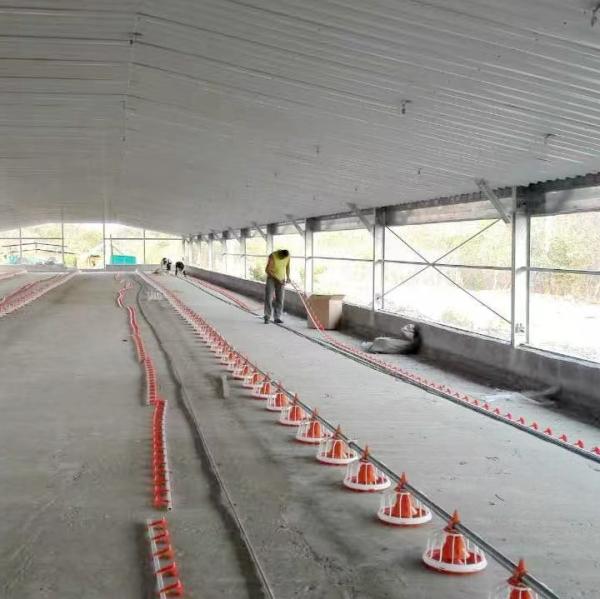 High Quality Poultry Feeding and Drinking System for Broilers