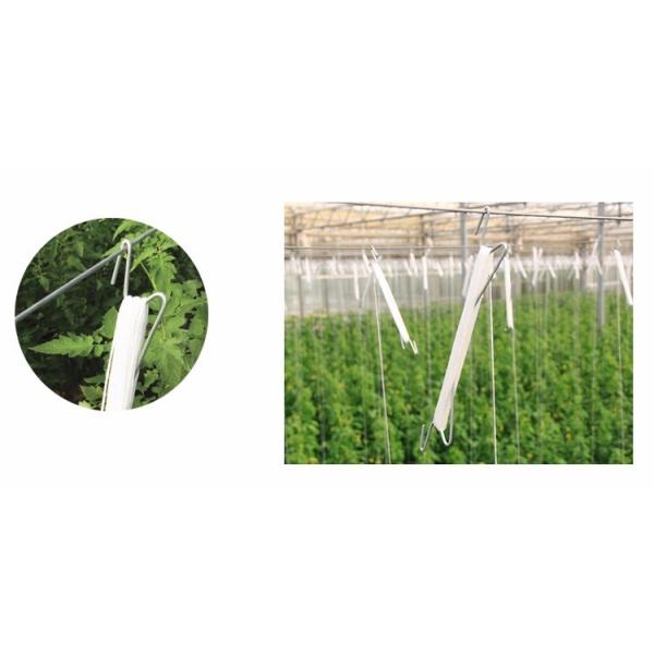 mkg 1000 шнурует для гибкого шпагата томата УЛЬТРАФИОЛЕТОВОГО обработанного и мягкого шпагата Rafia пластиковой упаковки