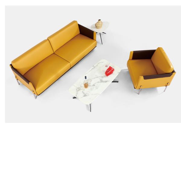 classique moderne: espace de travail partagé meubles canapé long