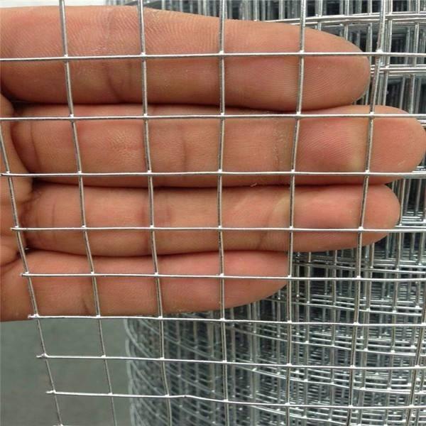 Silver Color Electro Galvanized Welded Wire Mesh For Construction Industry
