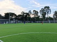Tapis approuvé à l'usine de gazon du football d'herbe de haute qualité du football à vendre
