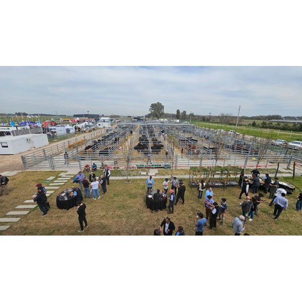 High Quality Galvanized Sheep Panels Sheep Fence Panels Waterproof Heavy Duty Rural Fencing