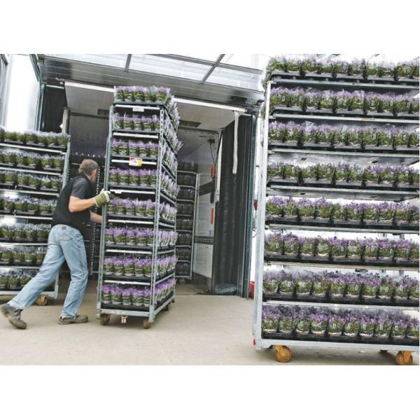 Цветка снабжения вагонетки колеса складчатости 4 переклейки вагонетка оборачиваемости датского быстрая