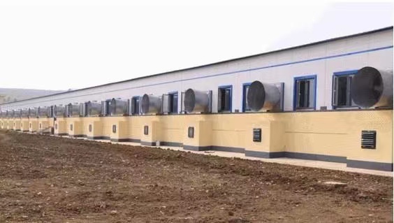 Animal Farm Livestock Barn Ventilation Hot Galvanized Steel Negative Pressure Fan