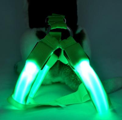 USB que carrega da correia luminosa da caixa do animal de estimação do diodo emissor de luz o vermelho verde azul de nylon