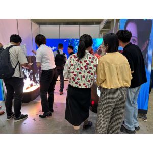Shenzhen Lion Optoelectronics Technology Co., Ltd.