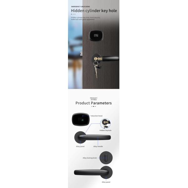Hotel RFID Key Card Lock M102 MF RFID Door Handle With Management Software System