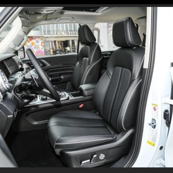 Tank 300 SUV 2023 Model 2.0t Cuirass 02 Cars 8-Gear Gasoline Car for Your Requirements