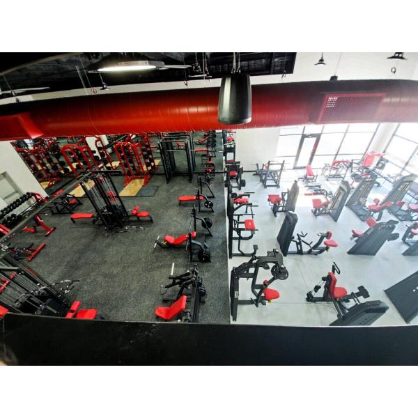 Indoor Commercial Gym Equipment Vertical Row Machine with Weight Stacks 1610*1200*1580