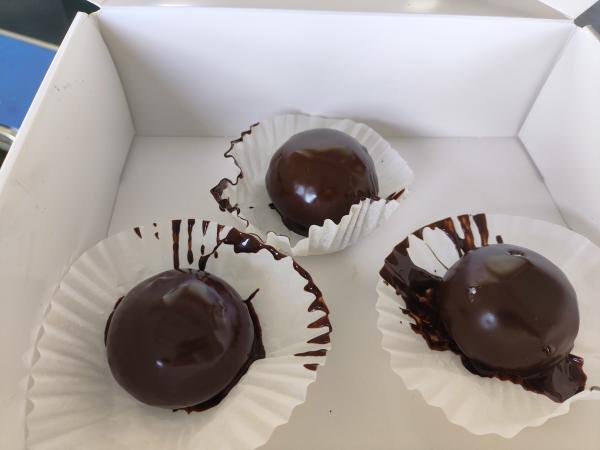 Ice Cream Mochi Chocolate Coating Machine | Automatic Enrobing Solution 
