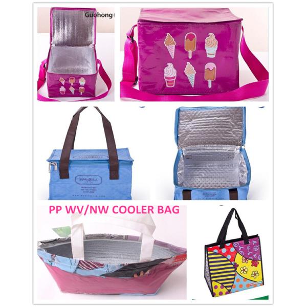 promotional nonwoven cooler Bag eco reusable for picnic, outdoor, shopping