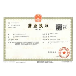 Guangzhou Dongsheng Biotech Co., Ltd Сертификации