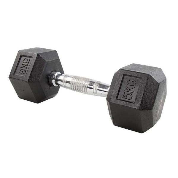 Стальная шестерня физического здоровья 10 Lb бросила резиновое гантели наговора покрытое 5 Lb