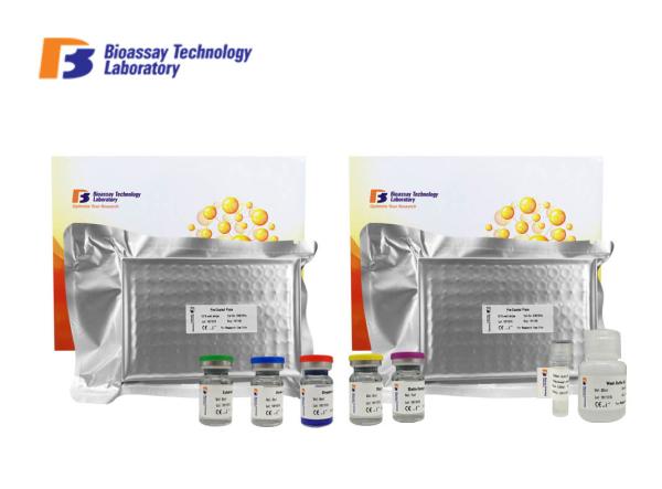 TNFRSF6 Enzyme Immunoassay Kit Human Tumor Necrosis Factor Receptor Superfamily Member 6