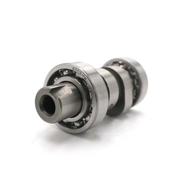 Delivery Time 20-30 Working Days Custom CT100 Motorcycle Camshaft for Bajaj CT100 Boxer