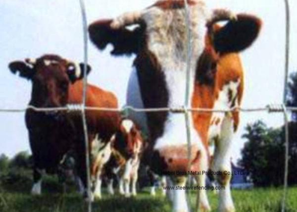 Anti - Corrosion Cattle Corral Panels / Farm Fence Panels For Animal Husbandry