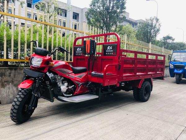 Tire Size 5.0-12 Motorized 300cc Self Loader Three Wheel Cargo Tricycle for Adult