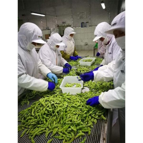 China Wholesales  Frozen Bulk Edamame Beans Edamame