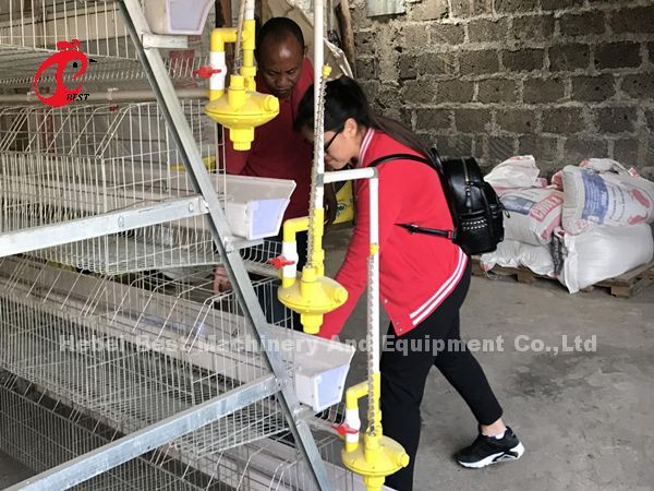 Frío automático de la jaula de las aves de corral de la batería galvanizado para poner pollos en iris del mercado de África