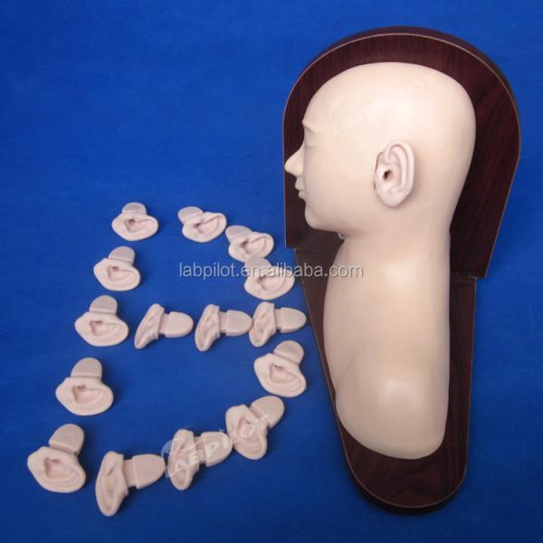 Medical Science Ear Diagnostic Training Model for Clinical Nursing Skills Education