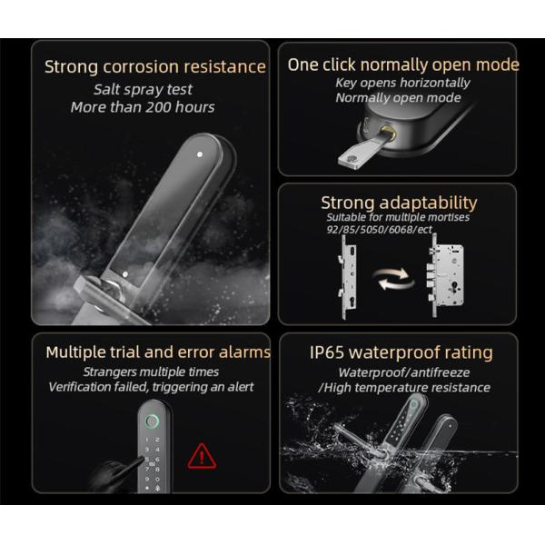 Painted Finish Smart Gate Lock Card / Code / Fingerprint / APP / Bluetooth / WiFi for apartments