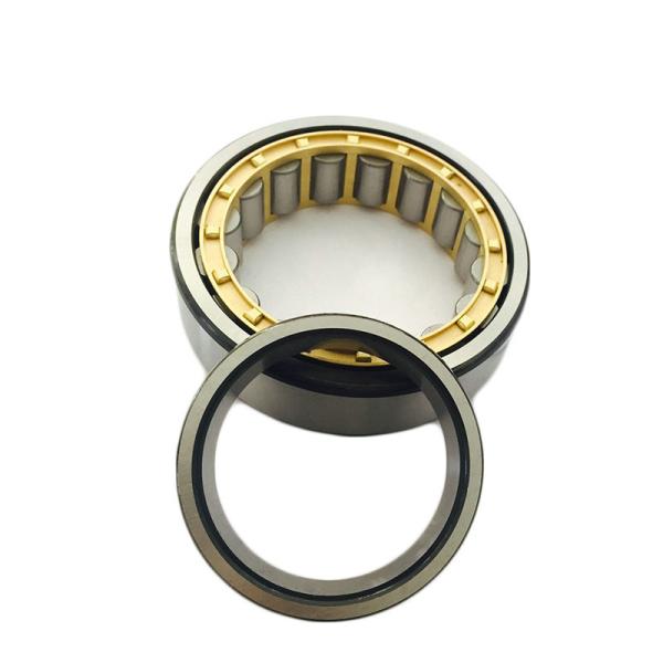 NJ1028 ECM/C3 Long Life Agricultural Bearing NJ Series