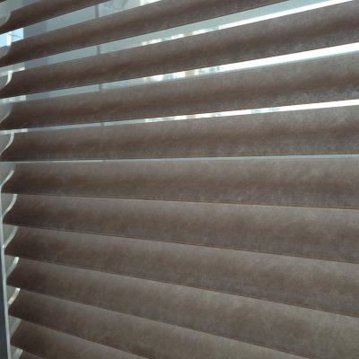 Chic and Stylish Shangrila Blind Fabric for Modern Room Styling WY-SBC 4inch Slats Width