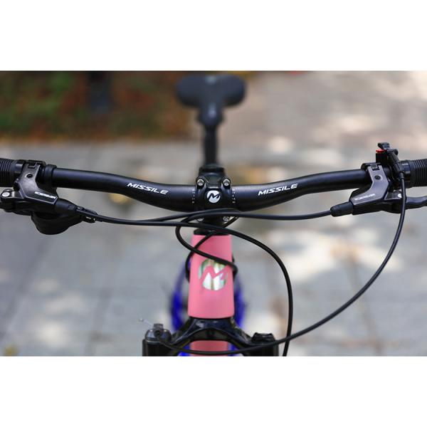 29 Inch Dual Suspension Mountain Bike with Maxxis Tires and PROWHEEL PMX 36T Chainring