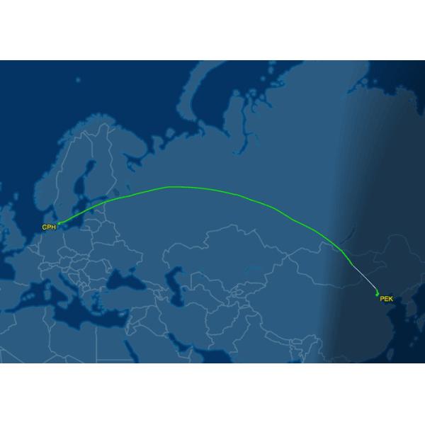 Safe Air Freight Logistics Door To Door Carrier Freight Forwarder FOB DDP DDU