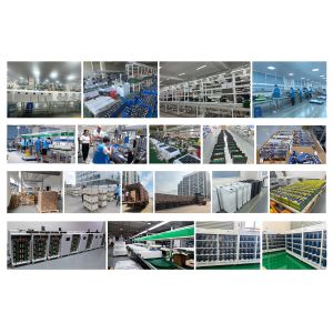 Deligreen Power Co.,ltd