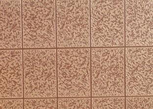 Decorative Siding panel
