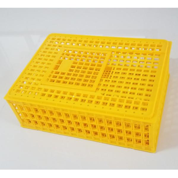 HDPE Plastic Chicken Transport Cages