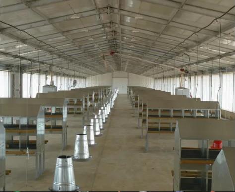 Stable And Durable Prefabricated Steel Structure Poultry Farm Building