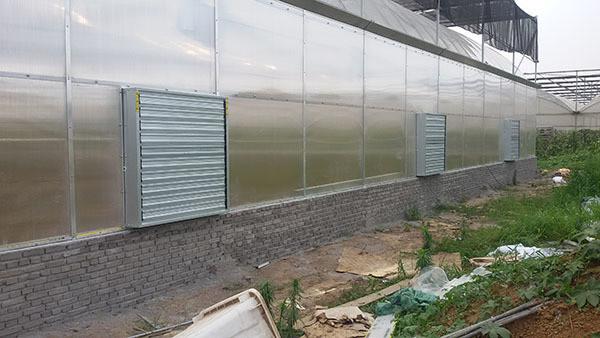 2025 Hot Sale Big air Volume Cooling Fan Ventilation Wall Hammer Fan for Poultry Farm Greenhouse for Sale with Shutter