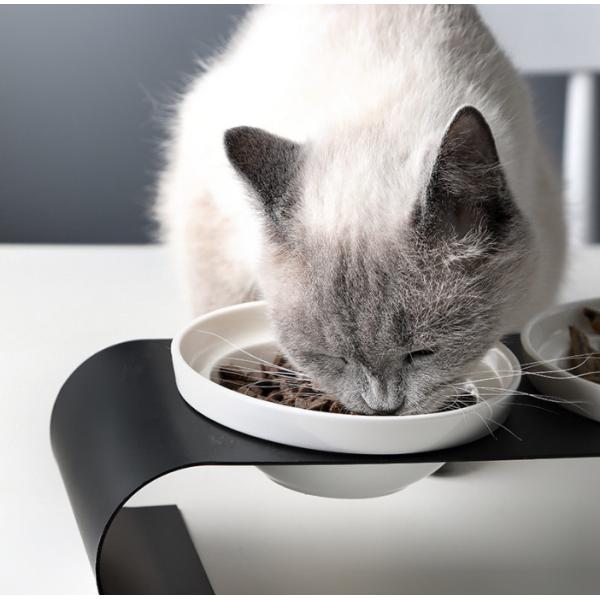 Perro de cerámica elevado Cat Bowls para la comida y el agua