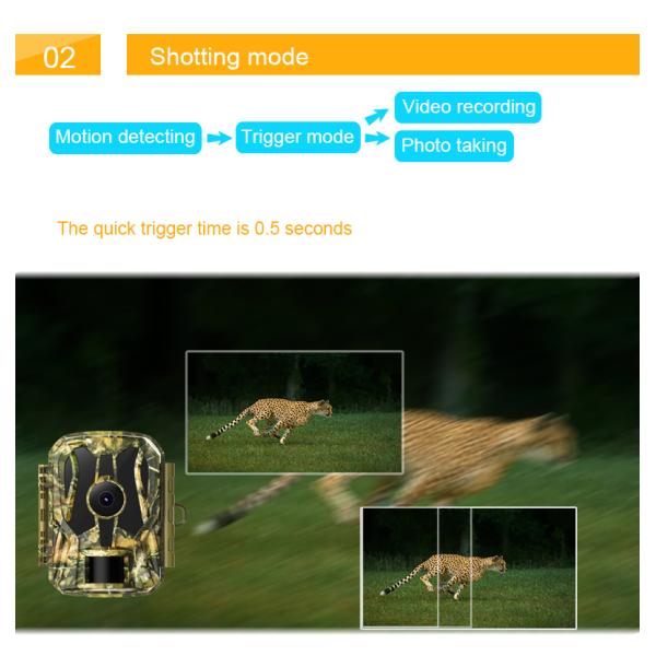 1080p 20mp Mini Wildlife Camera , IP65 Outdoor Trail Camera
