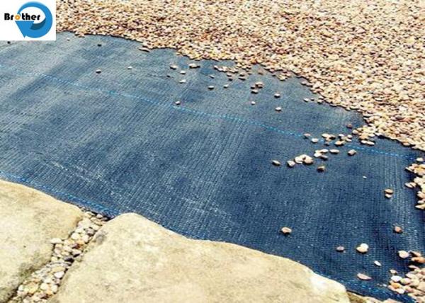 100% Anti Grass PP Woven Weed Control Cloth, Agro Plant Ground Cover Landscape Fabric
