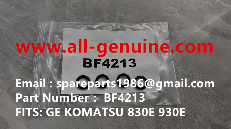 BF4213 O RING