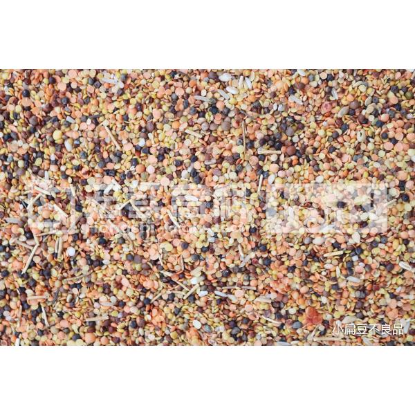 Fast Detection 5400 4 Chutes Intelligent Rice Color Sorter