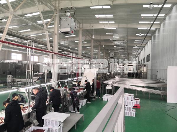 Vegetable Scraps Dryer Conveyor Tunnel Dryer Machine Conveyor Belt Drying System
