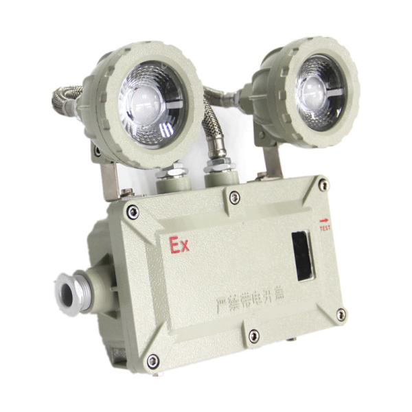 Outdoor Explosion Proof Emergency Lights IP66 36 Vac 2*5W Emergency Lamps Rechargable Led