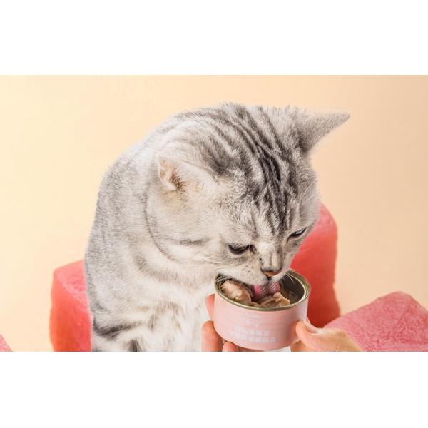 Круглая форма Небольшая пустая банка из оловянной плиты для собачьего, кошачьего или других животных