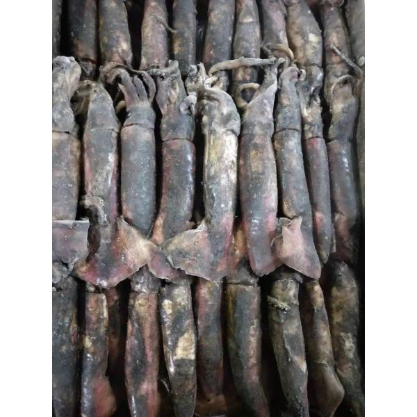 ISO2200/HACCP 80 - кальмар 150g BQF замороженный черный