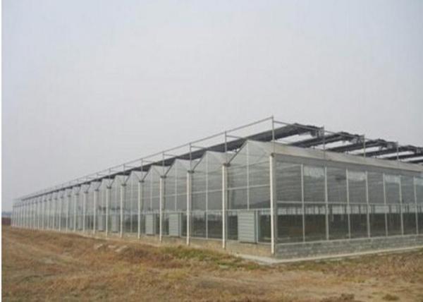 Agriculture Clear Polycarbonate Greenhouse Good Heat Preservation Effect