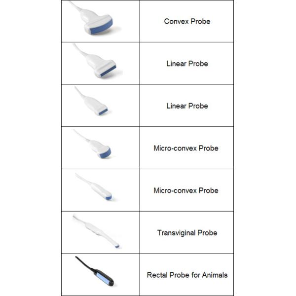 9.7 Inch Touch Screen Control Panel Battery Veterinary Portable Ultrasound USB Diagonosis Pregnant Ultrasound