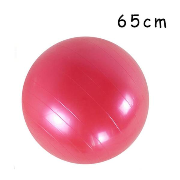 High Flexibility Pilates 65cm Stability Ball Heavy Duty For Gym