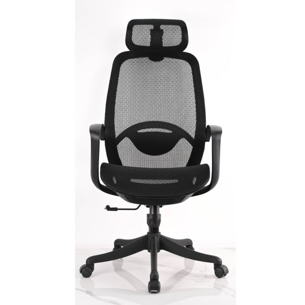 Staff Office Adjustable Mesh Ergonomic Computer Chair with Lumbar Support